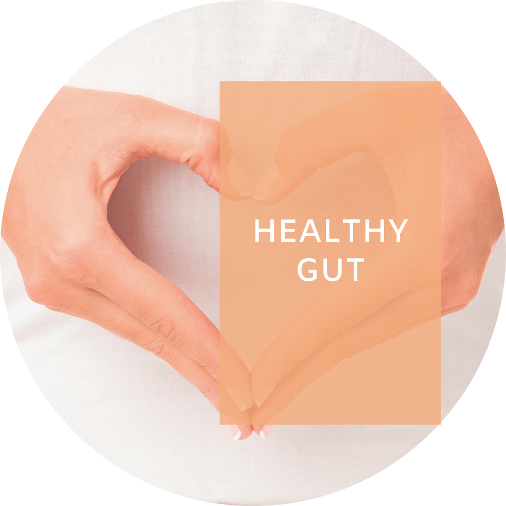 Gut health toolkit